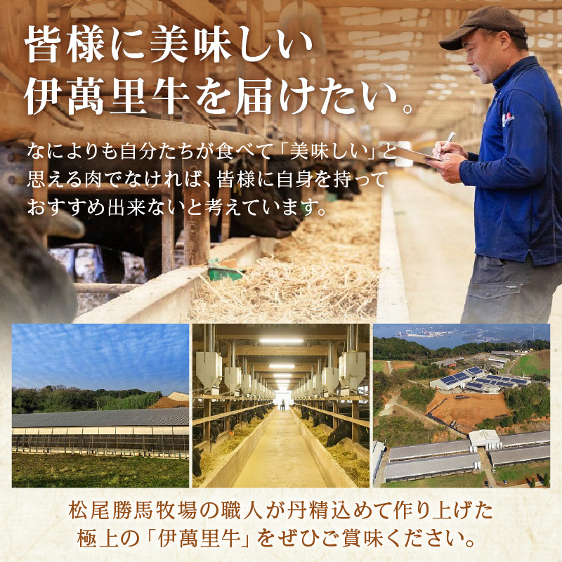 伊万里牛ローススライス 約800g (400g×2パック) すき焼き用 タレ付き 007-J1767_イメージ5