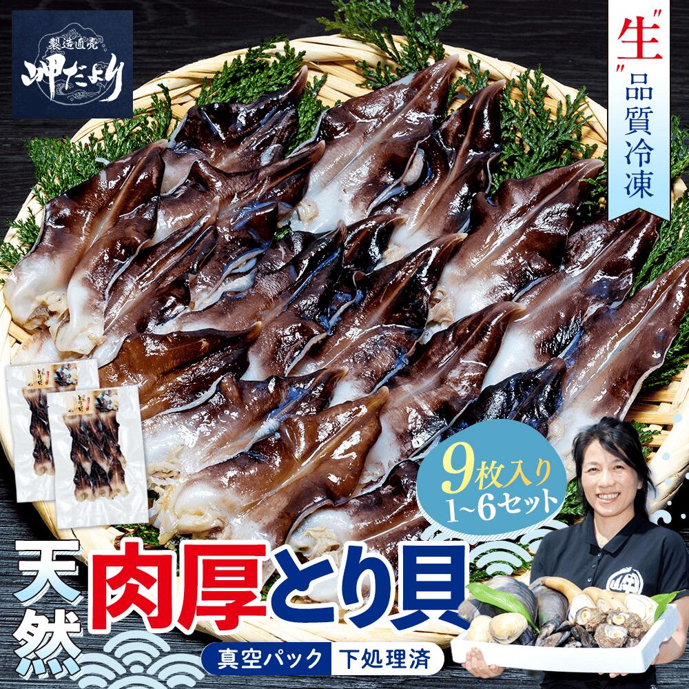 【ふるさと納税】 【選べるサイズ・セット数】 天然 肉厚とり貝 お刺身 9枚入り 新鮮 冷凍 トリガイ 刺し身 さしみ 貝 魚介類 海産物 人気 サイズ 容量 選べる ギフト 贈り物 お取り寄せ 高級 愛知県 南知多町 岬だより 特産品 特産 とり貝
