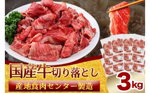 国産牛切り落とし3kg（250g×12パック）（DV073）