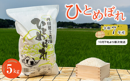 令和7年産 ひとめぼれ　5kg×1袋 ｜7年産米 新米 ひとめぼれ 宮城県角田市産 米 コメ 白米 精米 角田健土農場