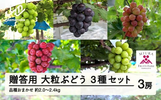 ≪先行予約≫贈答用 2025年山形県産 品種おまかせ 大粒ぶどう3種セット 2.0～2.4kg（3房） 2025年9月中旬から順次発送 ぶどう ブドウ 葡萄 マスカット 大粒 種なし皮ごと食べられる 高級 くだもの 果物 フルーツ 秋果実 産地直送 農家直送 数量限定 ギフト F21A-440