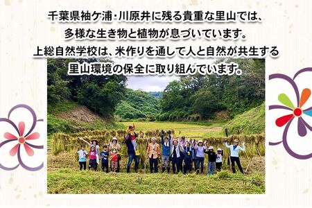 [農薬不使用] 里山の自然で育てた「禅寺の色々米」計600g (300g×2袋) [0692]