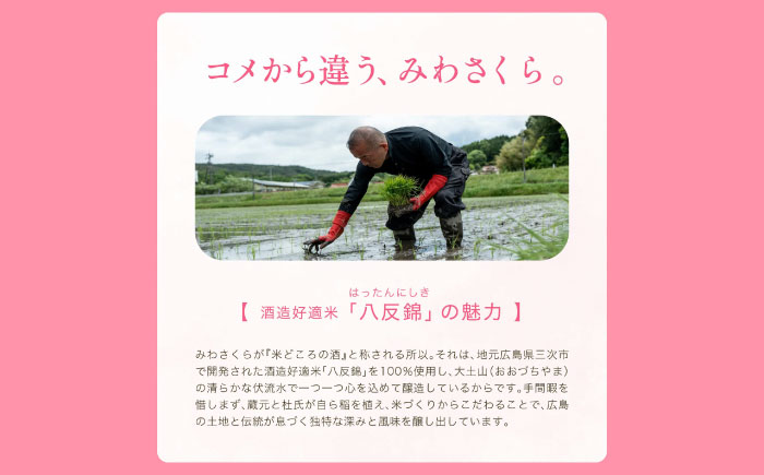 日本酒 くらくらする初濃いの味　みわさくらじゅんまい 720ml×3本 日本酒 お酒 人気 地酒 酒 純米酒 広島 三次市/美和桜酒造 [APBF009]