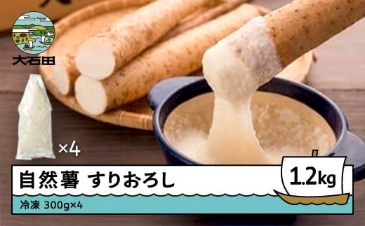 雪国育ちの自然薯 すりおろし 300g×4 計1200g 野菜 やまいも じねんじょ 山形県 大石田町産 oz-zisox1200