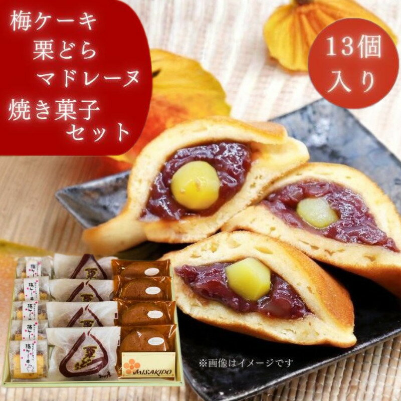 【ふるさと納税】自家製焼き菓子詰め合わせ | 菓子 スイーツ どら焼き マドレーヌ 梅ケーキ セット
