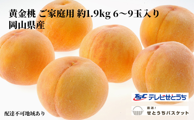 桃 2024年 先行予約 岡山 黄金桃 ご家庭用 約1.9kg 6～9玉入り もも モモ 岡山県産 国産 フルーツ 果物 直送！せとうちバスケット