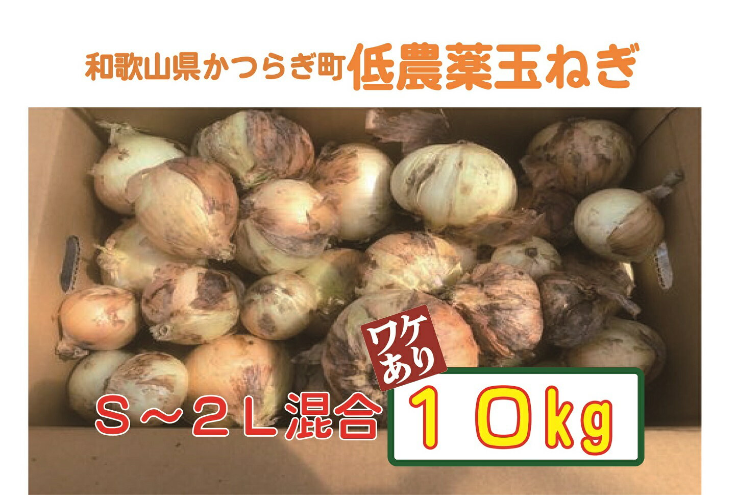 【ふるさと納税】 【2026年発送分・先行予約】【訳あり】農家さん直送　低農薬玉ねぎ　約10kg　S～2L混合 【ご家庭用※傷有り】【2026年4月中旬～7月中旬発送予定】