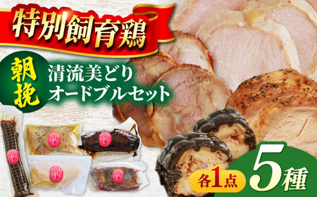鶏肉 朝挽き 清流美どり オードブルセット 5種 5点 [ANDL001] 鶏肉