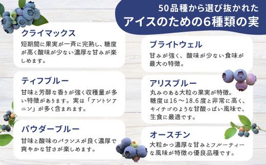 〈1週間以内発送〉無農薬・除草剤不使用！ブルーベリー アイス(80ml)×16個入り アイスクリーム ブルーベリー スイーツ 10000円 10,000円