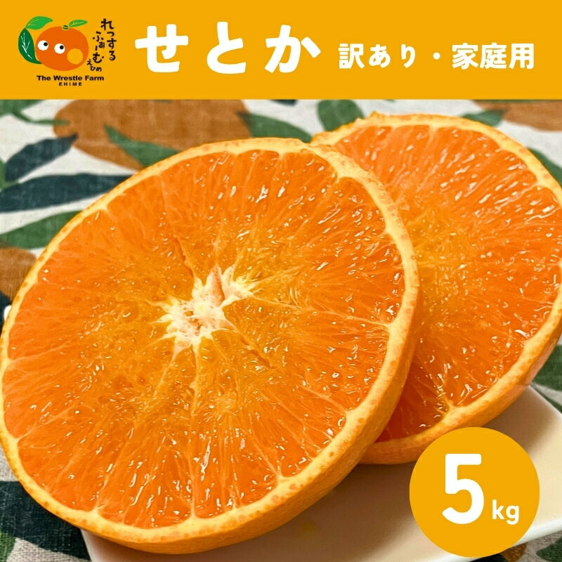 【ふるさと納税】せとか（施設・露地）5kg ご家庭用 訳あり レッスルファーム みかん 愛媛【2026年1月下旬順次発送】先行予約 数量限定 おすすめ 美味しい おいしい グルメ フルーツ くだもの 愛媛県産 人気 柑橘 伊予市｜B420