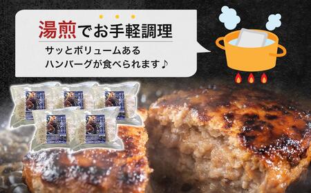 【美ら島あぐ～】冷凍ハンバーグ （８個入り）