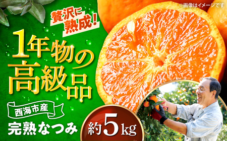 ハウス木成完熟 なつみ 約5kg＜原口果樹園＞CCW006 みかん みかん みかん みかん みかん みかん