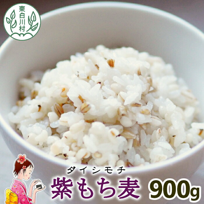 【ふるさと納税】【令和7年度産】 東白川村産 紫もち麦 ダイシモチ 900g 1袋 もち麦 食物繊維 麦 雑穀 お米 こめ 精米 ご飯 おためし 5000円 お買い物マラソン 買い回り スーパーセール 楽天スーパーセール