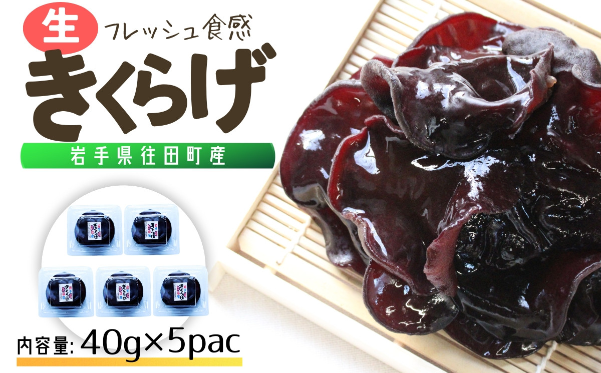 
                  岩手県産 生きくらげ 約40g×5個（総量約200g） コリっとプルプル食感がたまらない国産きくらげ/ きくらげ 生きくらげ 木耳 キノコ 国産【#0127】
                