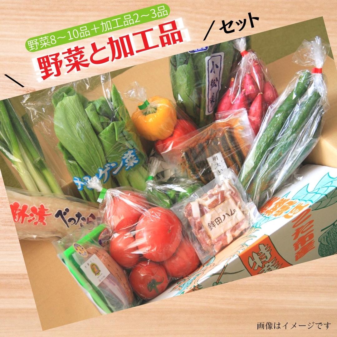 【ふるさと納税】＼選べる発送回数／ 旬を産地直送「旬菜館オリジナル【 野菜 （8～10品）と 加工品 （2～3品）】セット」届くまでのお楽しみ♪