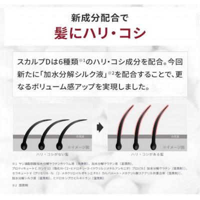 ふるさと納税 橋本市 【2ヵ月毎定期便】スカルプD　薬用スカルプシャンプー　ドライ [乾燥肌用]シャンプー メンズ全6回 |  | 02