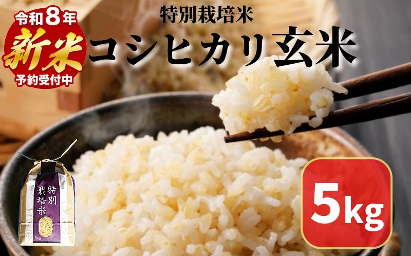 
                  【2026年9月順次発送】令和8年産 コシヒカリ 玄米 5kg 特別栽培米 米 こめ お米 健康 栄養 たっぷり 一等米 美味しい ビタミン ミネラル 小松島市
                