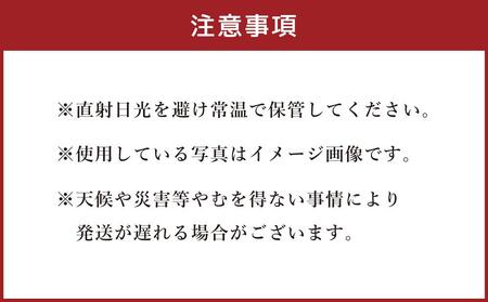 【先行予約】北海道産 赤肉メロン LLサイズ 2玉（計4.0kg以上）(2024年7月上旬発送開始予定)