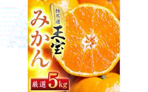 ＜愛媛名産＞玉宝みかん＜雫・・小玉＞(5kg)＜C64-2＞_ みかん ミカン 柑橘 フルーツ くだもの 果物 ふるーつ 青果 果実 甘い ジューシー 産直 産地直送 旬 柑橘類 人気 小玉 【1340914】
