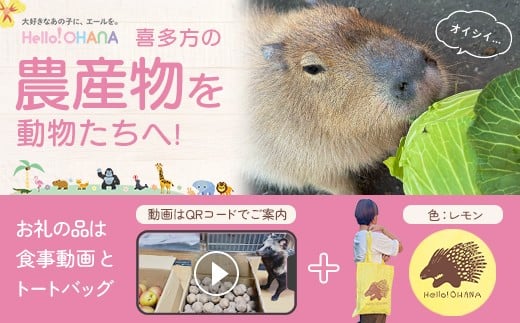 【動物推し活サービス】全国の動物たちに喜多方の農産品をプレゼント！〜動物デザインの「食事動画」「トートバッグ」が付いてきます〜　[カラー:レモン]　【07208-0729-A】