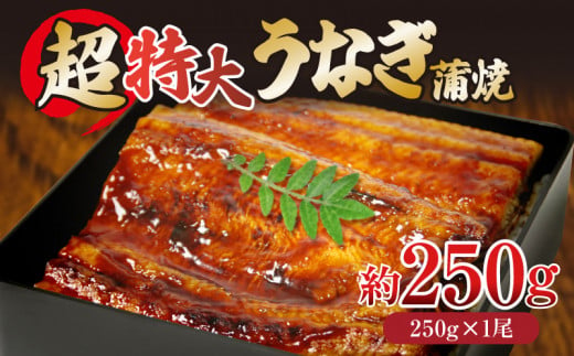 うなぎ 蒲焼き 特大 1尾 250g タレ付き 冷凍 小分け 肉厚 ふっくら 香ばしい うなぎ蒲焼き 鰻蒲焼 養殖鰻 養殖うなぎ 温めるだけ 簡単調理 うな重 うな丼 土用 丑の日 ふわふわ パリパリ 【北海道・東北・沖縄・離島への配送不可】