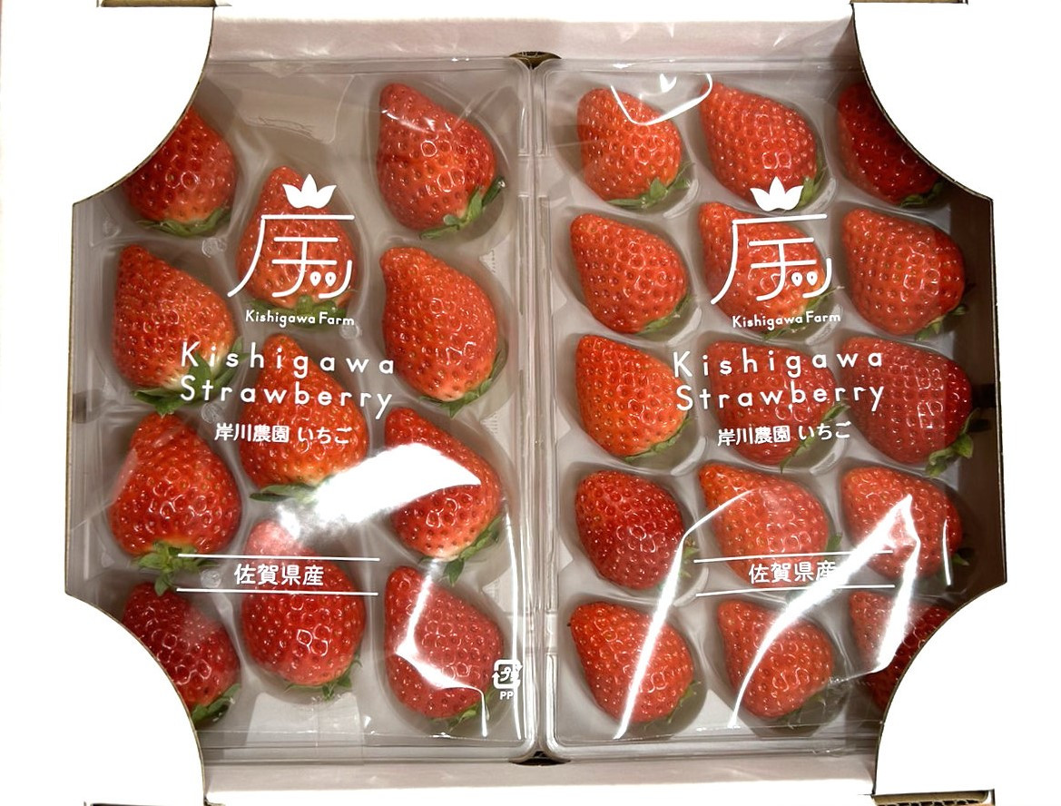 
            岸川農園のいちご「いちごさん」220ｇ×2P
          