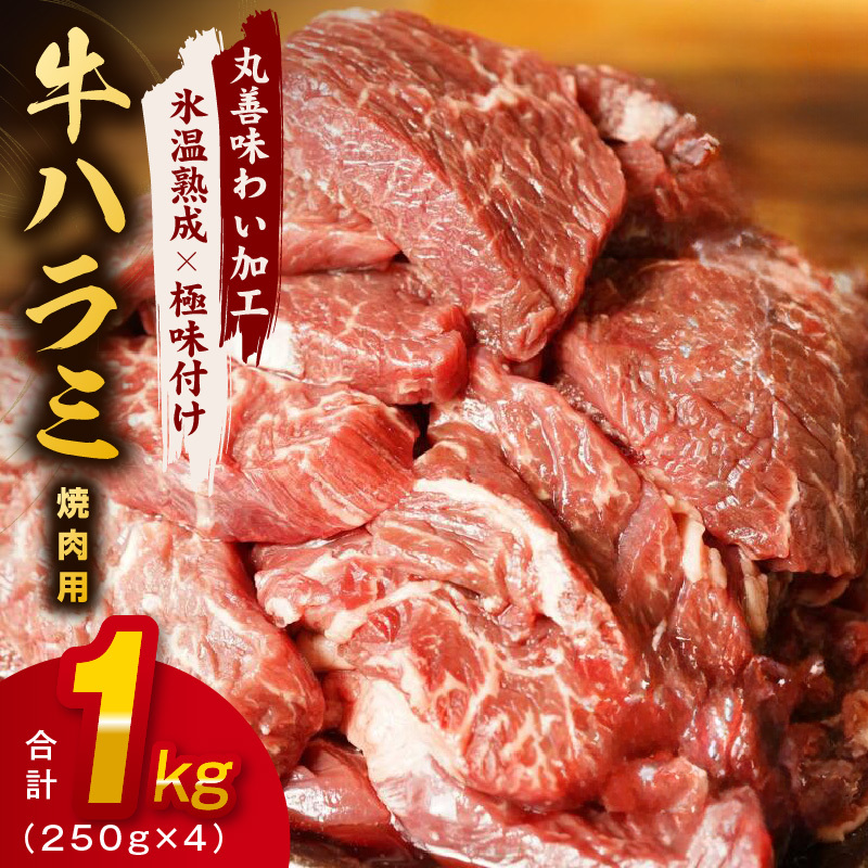 牛肉 ハラミ 1kg 小分け 250g×4P【氷温熟成×極味付け 味付き 牛肉 訳あり 不揃い 焼肉 BBQ 野菜炒め】 mrz0250
