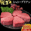 【ふるさと納税】佐賀牛 シャトーブリアン 1000g 牛肉 肉 お肉 ※配送不可：北海道、沖縄、離島