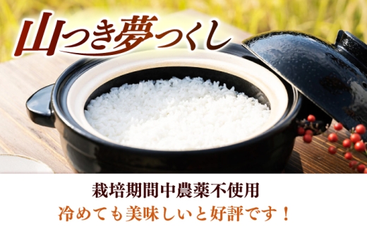 【黒箱】【全6回定期便】農薬 を使わずに育てた 山つき 夢つくし 5kg itoshimacco《築上町》【株式会社やました】 [ABEX015-2]