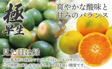 【2024年9月中旬より順次発送】JAむなかたブランドみかん【姫の神】（早味かん）約3kg[E2280a]
