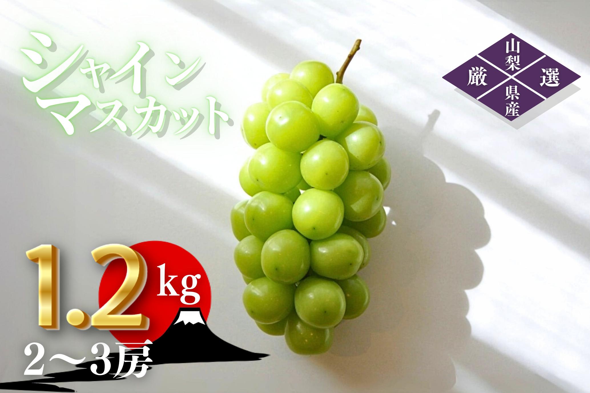 ＜25年発先行予約＞笛吹市産　厳選シャインマスカット［1.2kg］（2〜3房）フルーツ大国！山梨県笛吹市より産地直送 209-003 OUTTA REACH JAPAN