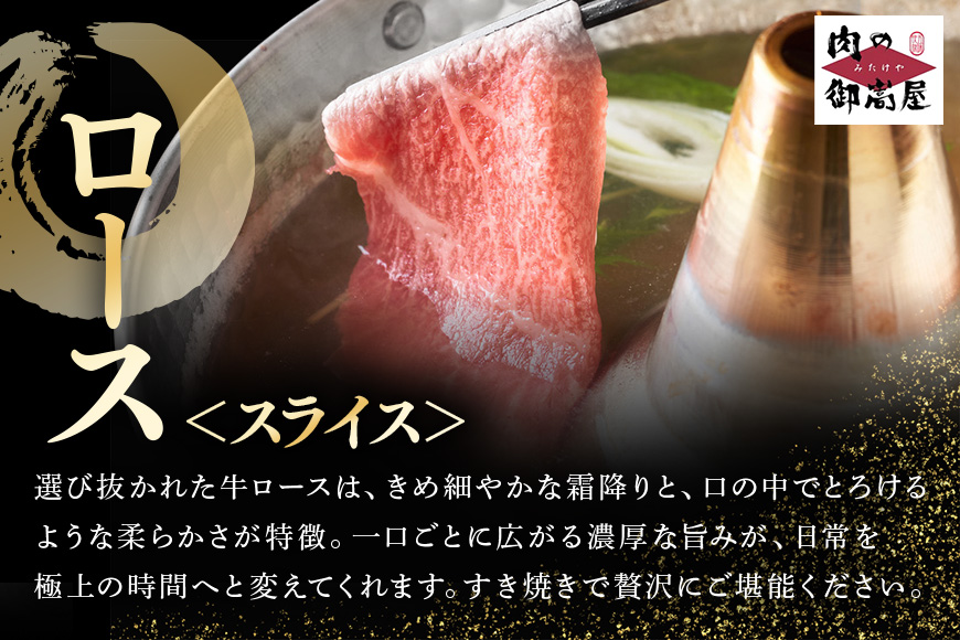 【冷蔵配送】飛騨牛 サーロインステーキ ローススライス 焼肉用ロース 特盛セット