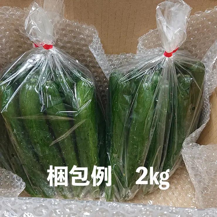 【クール冷蔵】新鮮きゅうり2kg【特別栽培農産物】 きゅうり