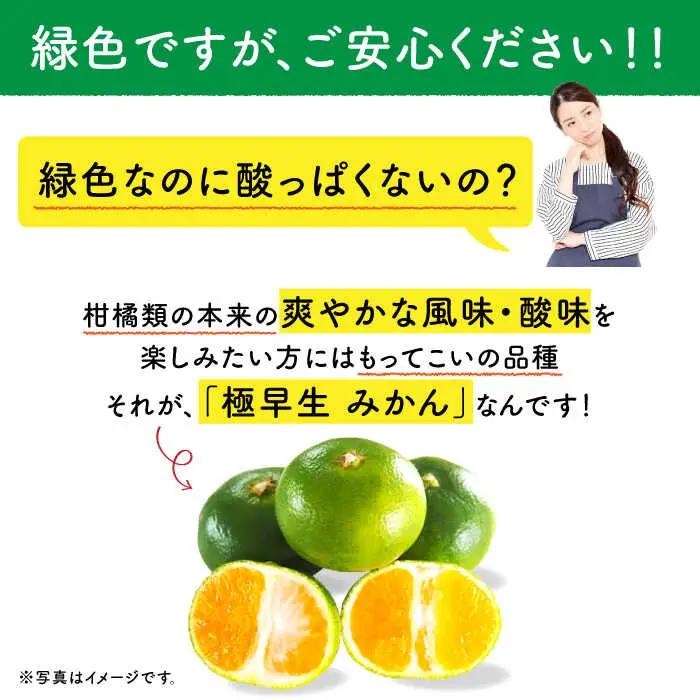 極早生 みかん 5kg [OCW001] ミカン