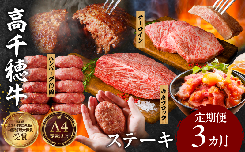 【3か月定期便】 高千穂牛ステーキ定期便| 牛肉 肉 お肉 サーロイン ステーキ 赤身 定期便 定期 国産牛 ブランド牛 和牛 ハンバーグ 国産 贈答 贈り物 簡単調理 おかず 普段使い |_Tk00