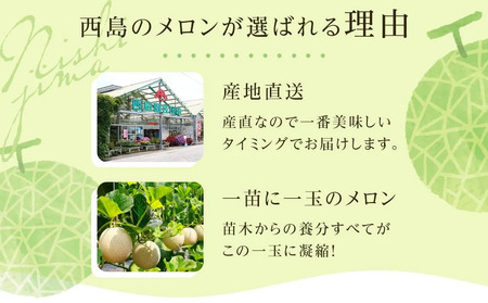 【3回定期便】家庭用 メロン 2玉 【定期便3回メロンメロンメロンメロン】