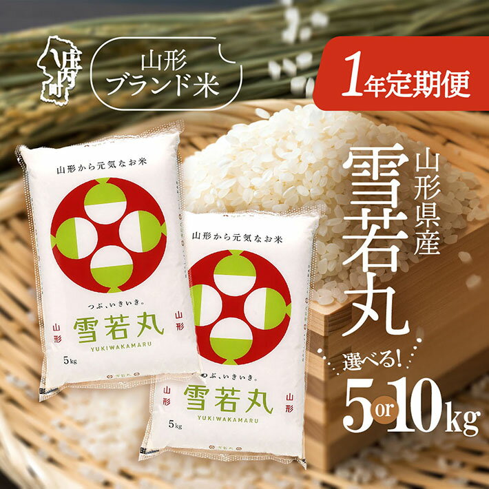 【ふるさと納税】＜11月発送開始＞山形米1年定期便！雪若丸 選べる内容量 5kg or 10kg（入金期限：2025.10.25）ブランド米 2025年産 ふるさと納税 米 定期便 山形県