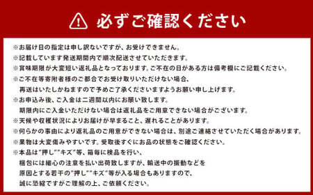 瀬戸ジャイアンツ 2房 （1房480g以上） 合計約1kg 化粧箱入り 【2025年9月上旬～10月上旬まで発送予定】 ／ マスカット 葡萄 ぶどう 果物 果実 フルーツ 皮ごと 岡山県 美咲町 冷蔵