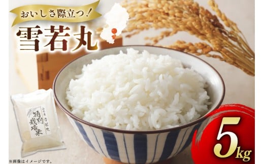 米 令和7年度産 特別栽培米 雪若丸 5kg [渡部ファーム 山形県 高畠町 tk06ays810028] お米 白米 精米 ごはん ご飯 ブランド米