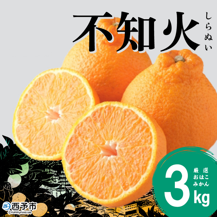 ＜おはこやがつくる おはこデコ（不知火）約3kg（L～3Lサイズ）＞ 果物 くだもの フルーツ 柑橘 蜜柑 ミカン しらぬい シラヌイ みかん 特産品 西宇和 愛媛県 西予市 約３kg（寄付額7,00