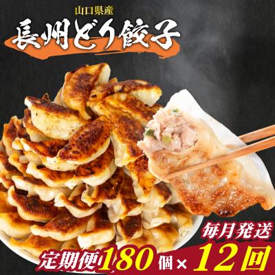ふるさと納税 下関市 訳あり 長州どり餃子 12回 毎月 定期便 180個 12個×15パック 冷凍 小分け IB045