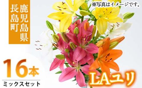 ＜期間限定＞LAユリ ミックスセット(16本)【宮路園芸】miyaji-794