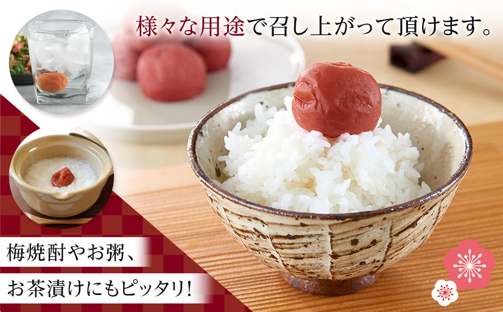梅心（うめごころ）ながおかや 紀州花のうめ（しそ梅）330g