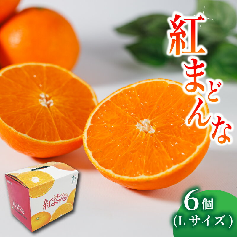 【ふるさと納税】 紅まどんな L サイズ 6個 | 紅マドンナ 柑橘 フルーツ まどんな みかん 愛媛 蜜柑 蜜柑 高級柑橘 贈答 ギフト 年末年始 送料無料 愛媛県 松山市