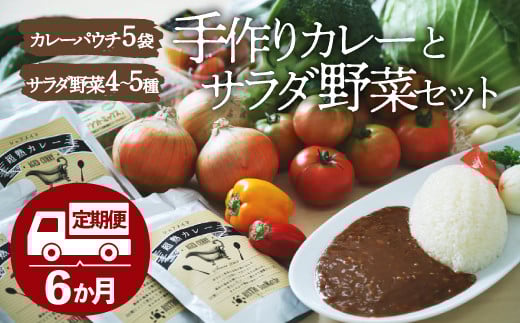 野菜定期便【全6回】シェフの目線で厳選！ 旬の野菜セット×こだわりの手作りカレー 大洲市/（有）ヒロファミリーフーズ[AGBX026]カレー定期便 カレー 定期便 野菜セット 野菜 詰め合わせ 野菜定期便 旬野菜 食材セット 宅配 詰め合わせ おまかせセット お任せ お試しセット 新鮮 こだわり 野菜詰め合わせ シェフ厳選 サラダ 炒め物 スープ 鍋 煮物 6回定期便 6ヶ月定期便 6か月定期便