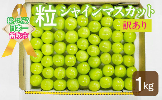 ＜25年発送先行予約＞SDGs 訳あり 粒シャインマスカット約1.0kg 2025年 先行予約 先行 予約 粒 粒シャインマスカット 粒シャイン シャイン ワケアリ わけあり ぶどう 葡萄 くだもの 果物 フルーツ ふるーつ 新鮮 人気 山梨 笛吹市 笛吹 産地直送 ご家庭用 157-044