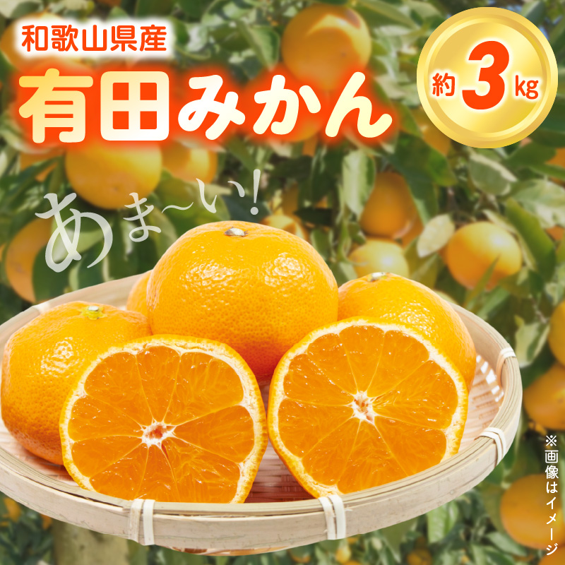 【2026年先行予約】こだわりの和歌山県産 有田みかん 3kg ひとつひとつ手選別で厳選！生産者から直送_ZN6012