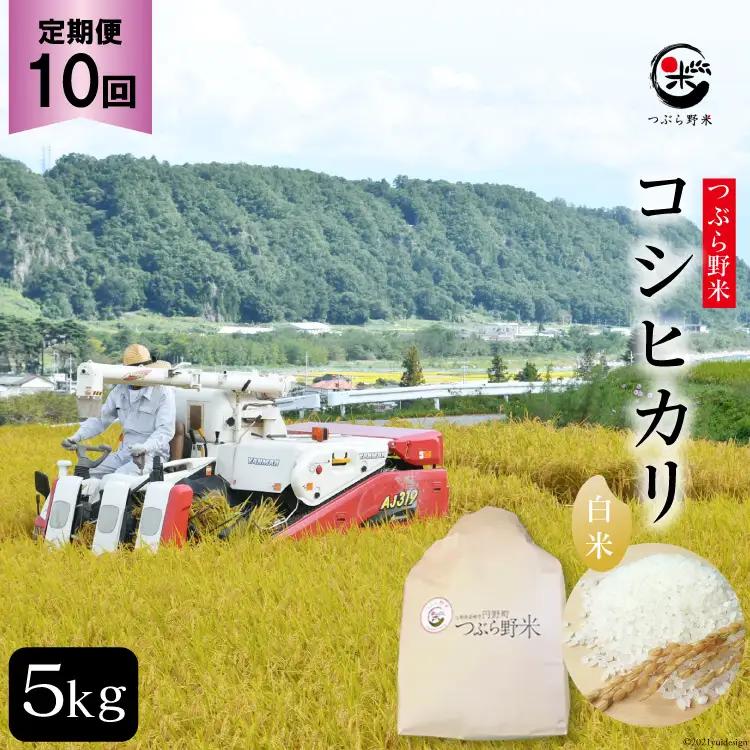 米 令和8年 10回 定期便 つぶら野米 コシヒカリ 白米 5kg×10回 総計50kg