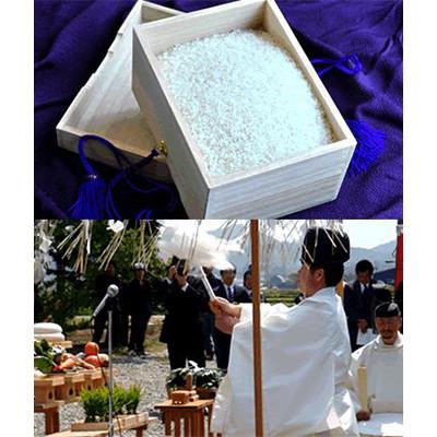 ふるさと納税 長沼町 【毎月定期便】皇室献上米　北海道産ゆめぴりか 5kg精米全12回 |  | 01