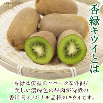 ふるさと納税 三木町 香緑(こうりょく)キウイ　約3kg |  | 03